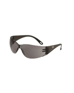 Schutz- und Sonnenbrille JET rauch